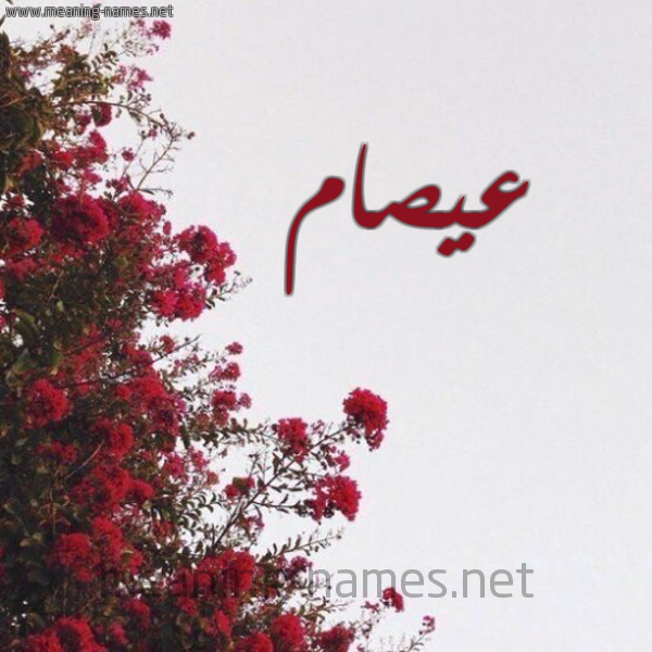 شكل 18 صوره الورد الأحمر للإسم بخط رقعة صورة اسم عيصام Esam