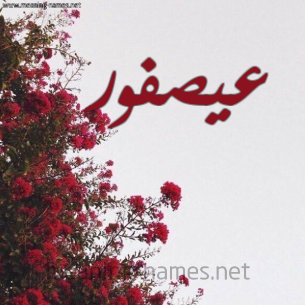 شكل 18 صوره الورد الأحمر للإسم بخط رقعة صورة اسم عيصفور Osfour