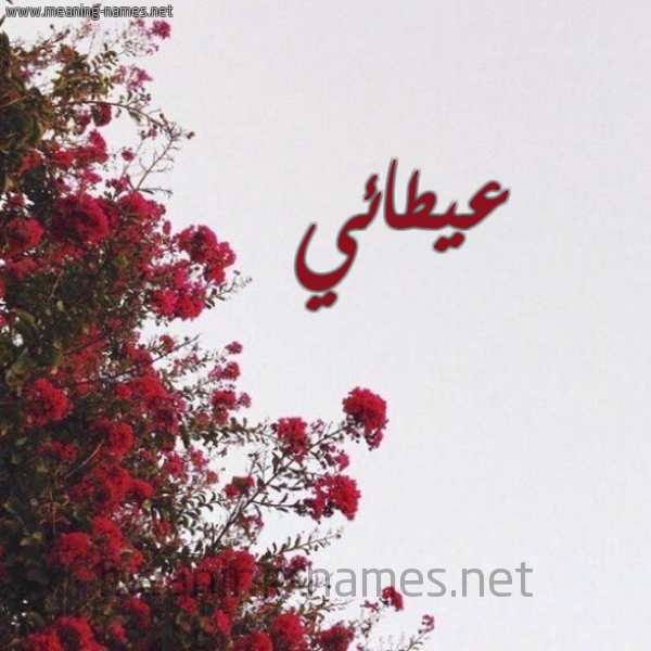 شكل 18 صوره الورد الأحمر للإسم بخط رقعة صورة اسم عيطائي Attai
