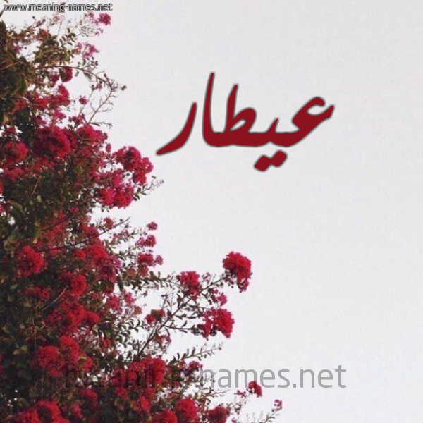 شكل 18 صوره الورد الأحمر للإسم بخط رقعة صورة اسم عيطار Attar