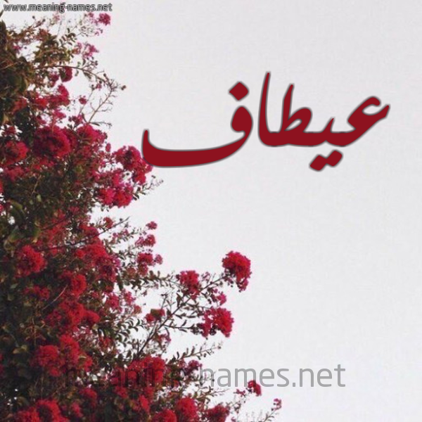 شكل 18 صوره الورد الأحمر للإسم بخط رقعة صورة اسم عيطاف Attaf
