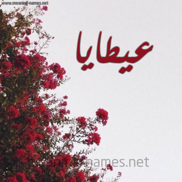 شكل 18 صوره الورد الأحمر للإسم بخط رقعة صورة اسم عيطايا ataya