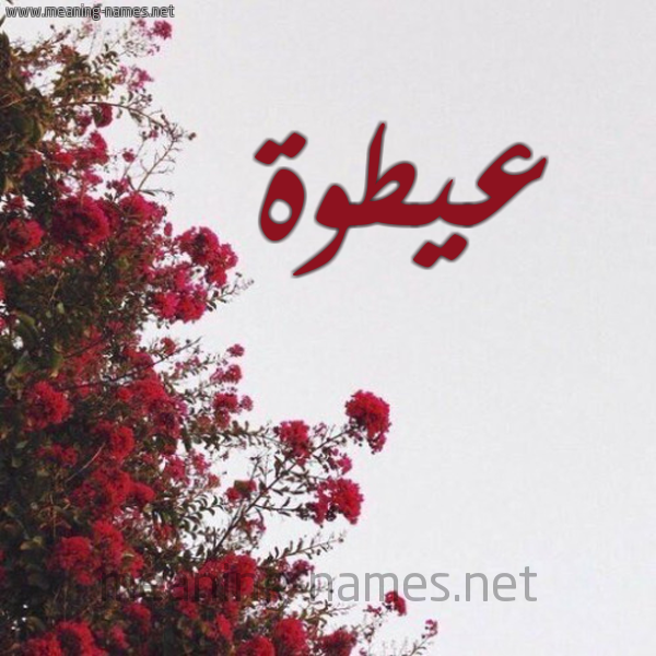 شكل 18 صوره الورد الأحمر للإسم بخط رقعة صورة اسم عيطوة Atwa