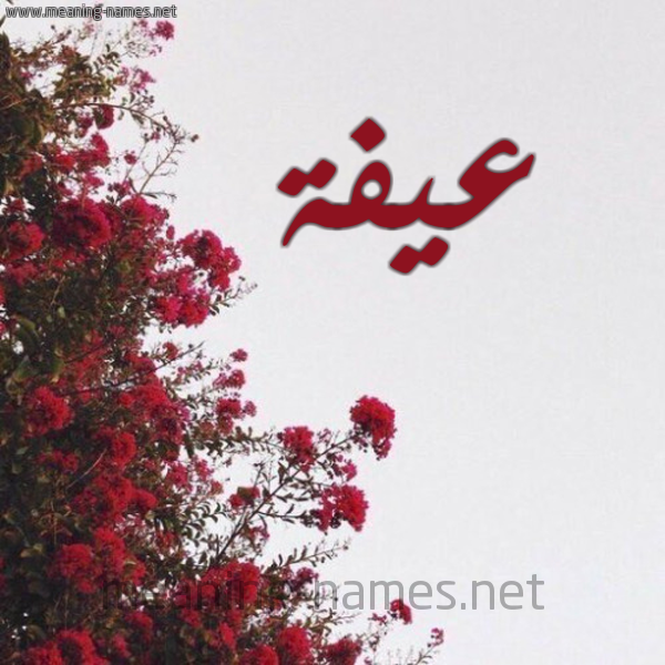 شكل 18 صوره الورد الأحمر للإسم بخط رقعة صورة اسم عيفة Affah