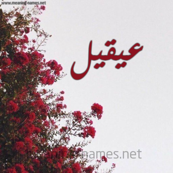 شكل 18 صوره الورد الأحمر للإسم بخط رقعة صورة اسم عيقيل Aqeel