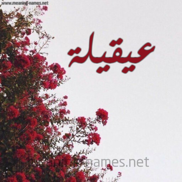 شكل 18 صوره الورد الأحمر للإسم بخط رقعة صورة اسم عيقيلة Aqila