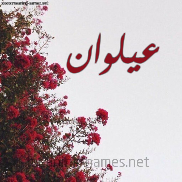 شكل 18 صوره الورد الأحمر للإسم بخط رقعة صورة اسم عيلوان Alwan