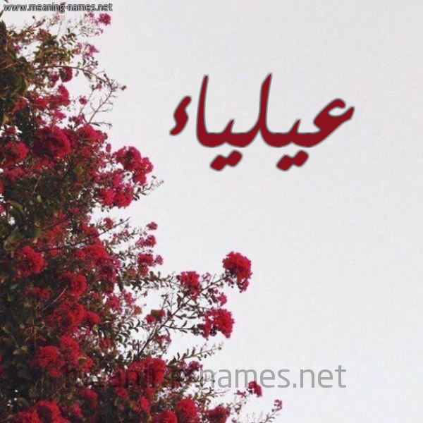 شكل 18 صوره الورد الأحمر للإسم بخط رقعة صورة اسم عيلياء Alia'a