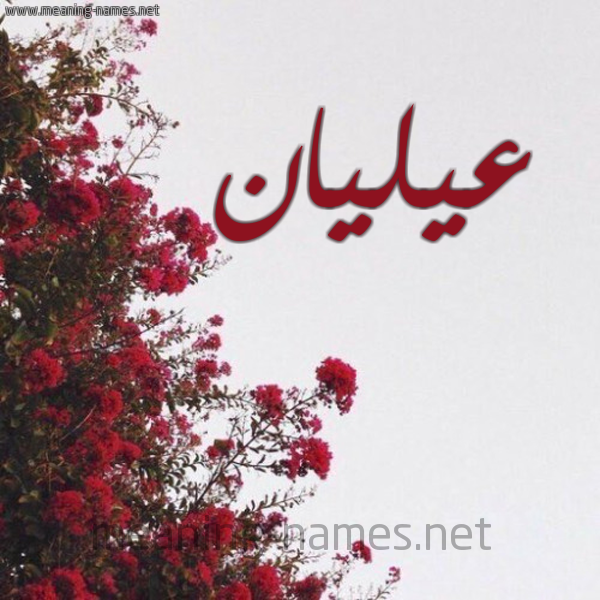 شكل 18 صوره الورد الأحمر للإسم بخط رقعة صورة اسم عيليان Alyan