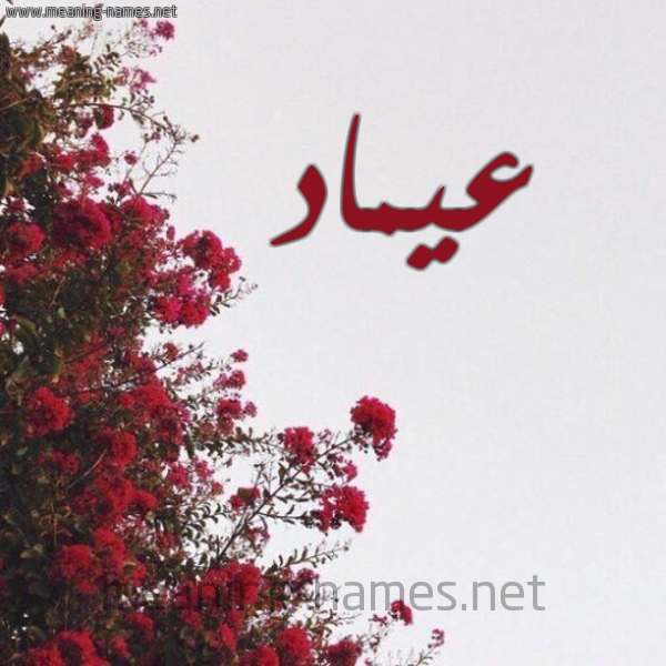 شكل 18 صوره الورد الأحمر للإسم بخط رقعة صورة اسم عيماد Emad