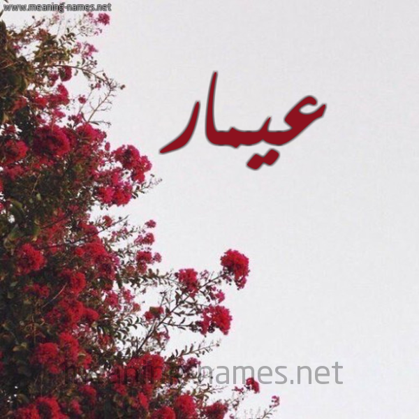 شكل 18 صوره الورد الأحمر للإسم بخط رقعة صورة اسم عيمار Ammar