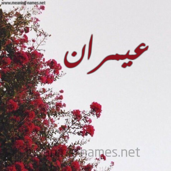 شكل 18 صوره الورد الأحمر للإسم بخط رقعة صورة اسم عيمران Amran