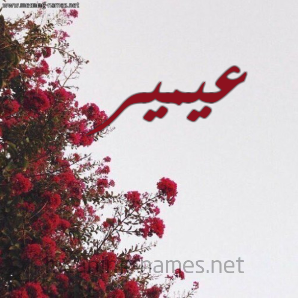شكل 18 صوره الورد الأحمر للإسم بخط رقعة صورة اسم عيمير Amir