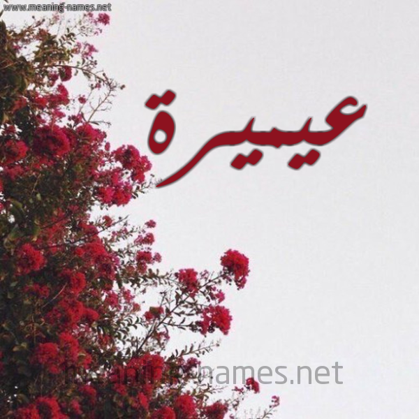 شكل 18 صوره الورد الأحمر للإسم بخط رقعة صورة اسم عيميرة Omaira