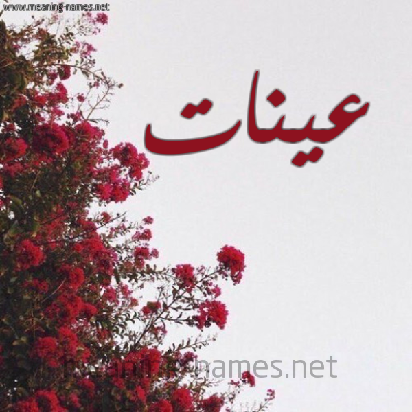 شكل 18 صوره الورد الأحمر للإسم بخط رقعة صورة اسم عينات Aynat