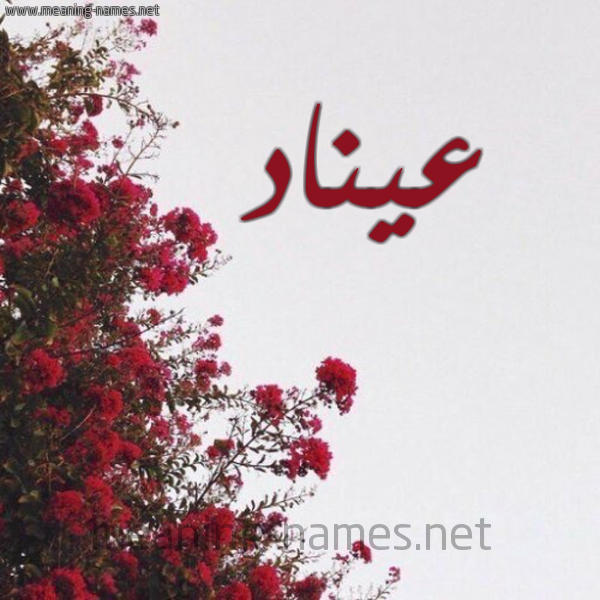 شكل 18 صوره الورد الأحمر للإسم بخط رقعة صورة اسم عيناد Enad
