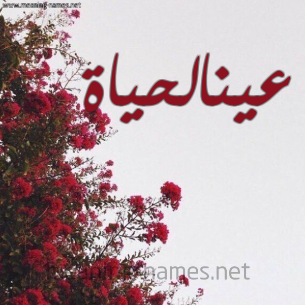 شكل 18 صوره الورد الأحمر للإسم بخط رقعة صورة اسم عينالحياة Aynalhyah