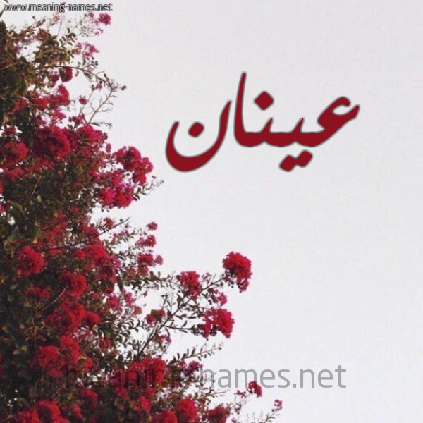 شكل 18 صوره الورد الأحمر للإسم بخط رقعة صورة اسم عينان Anan