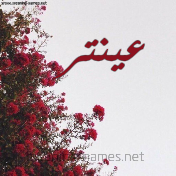 شكل 18 صوره الورد الأحمر للإسم بخط رقعة صورة اسم عينتر Antar