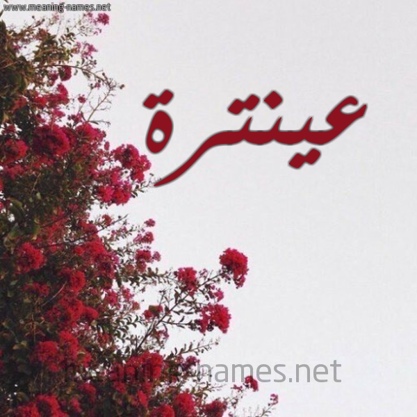 شكل 18 صوره الورد الأحمر للإسم بخط رقعة صورة اسم عينترة Antara