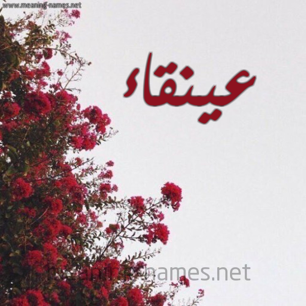 شكل 18 صوره الورد الأحمر للإسم بخط رقعة صورة اسم عينقاء Anqaa
