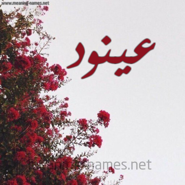 شكل 18 صوره الورد الأحمر للإسم بخط رقعة صورة اسم عينود Anod