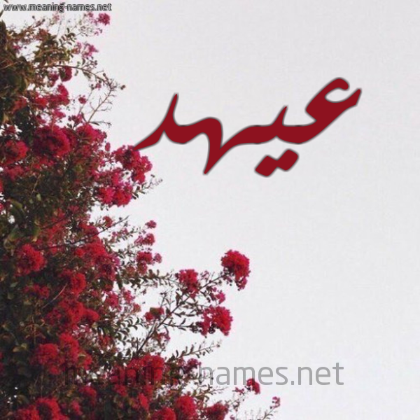 شكل 18 صوره الورد الأحمر للإسم بخط رقعة صورة اسم عيهد Ahd
