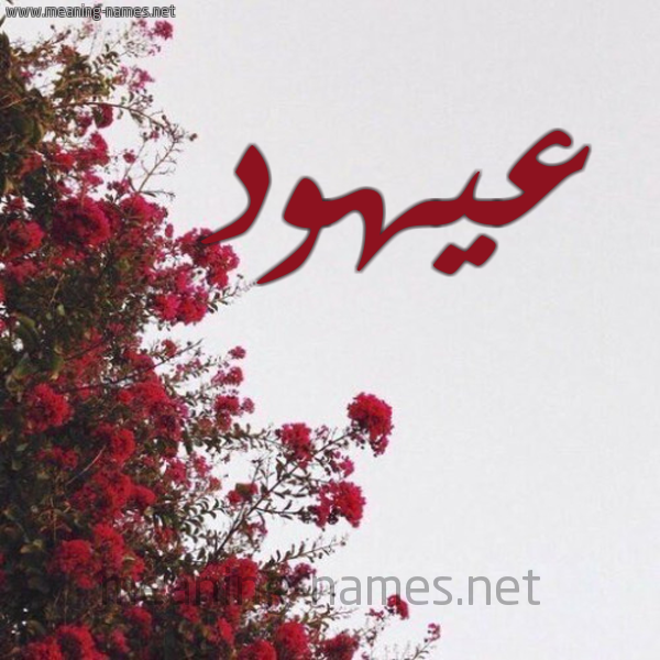 شكل 18 صوره الورد الأحمر للإسم بخط رقعة صورة اسم عيهود Ohood