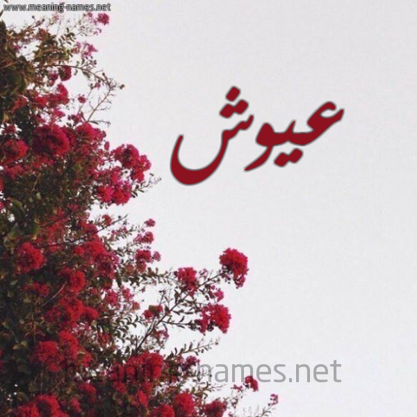 شكل 18 صوره الورد الأحمر للإسم بخط رقعة صورة اسم عيوش Aiosh