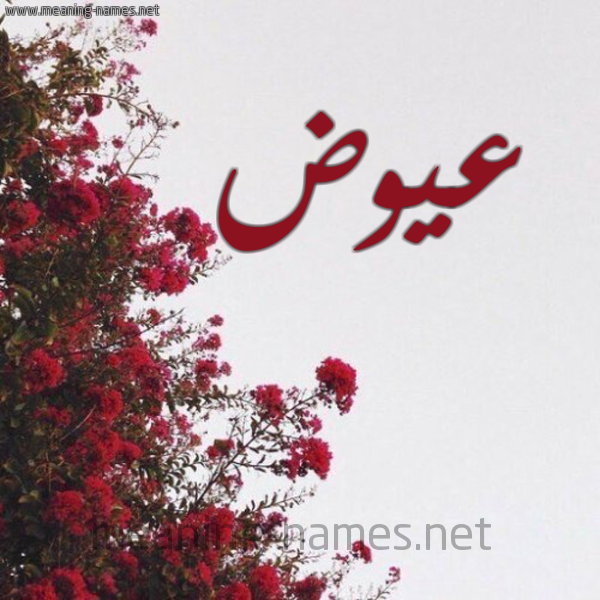 شكل 18 صوره الورد الأحمر للإسم بخط رقعة صورة اسم عيوض Awad