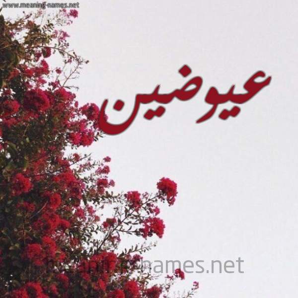 شكل 18 صوره الورد الأحمر للإسم بخط رقعة صورة اسم عيوضين Awadin