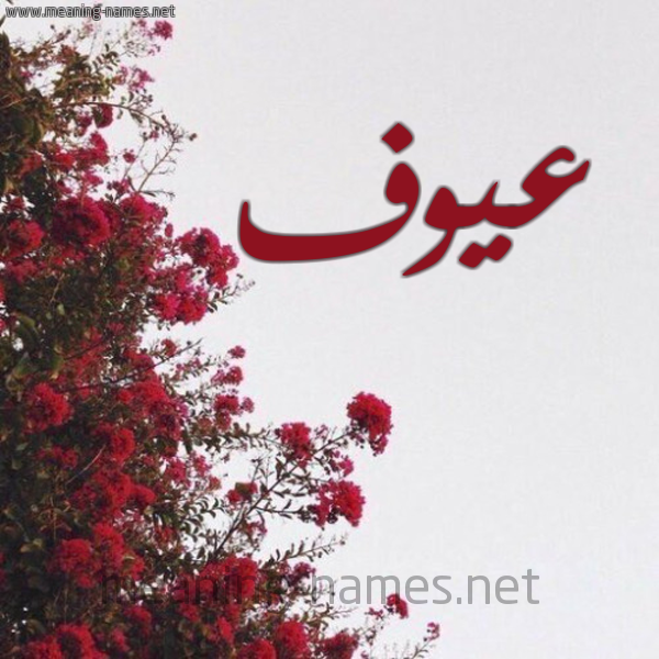 شكل 18 صوره الورد الأحمر للإسم بخط رقعة صورة اسم عيوف Aywf