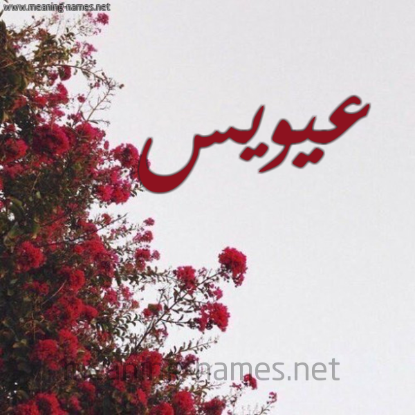 شكل 18 صوره الورد الأحمر للإسم بخط رقعة صورة اسم عيويس Aweys