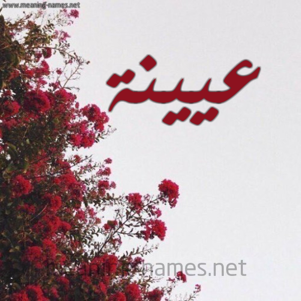شكل 18 صوره الورد الأحمر للإسم بخط رقعة صورة اسم عيينة AIINH