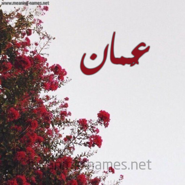 شكل 18 صوره الورد الأحمر للإسم بخط رقعة صورة اسم عٌمان AONMAN