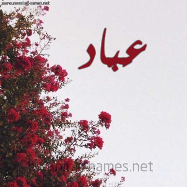 شكل 18 صوره الورد الأحمر للإسم بخط رقعة صورة اسم عَبّاد Abad