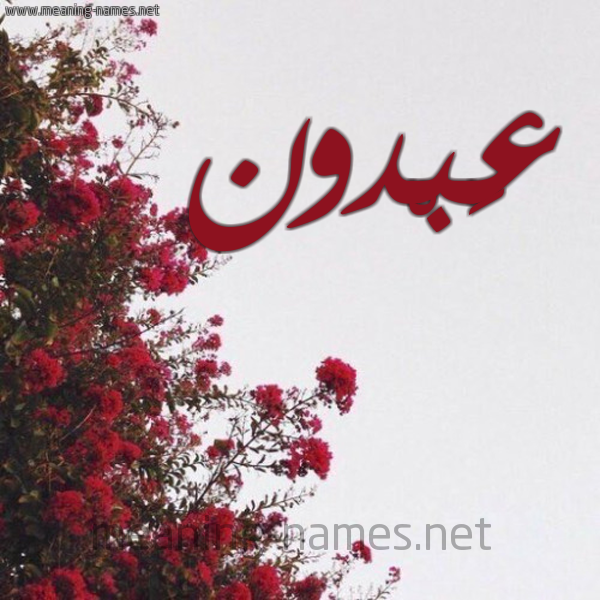 شكل 18 صوره الورد الأحمر للإسم بخط رقعة صورة اسم عَبْدون AABDON