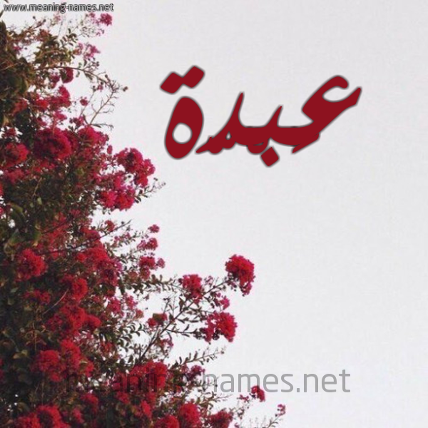 شكل 18 صوره الورد الأحمر للإسم بخط رقعة صورة اسم عَبْدّة AABDH