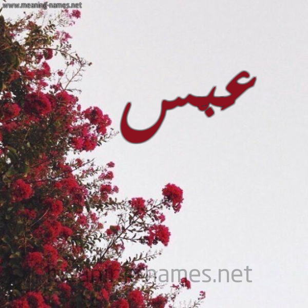 شكل 18 صوره الورد الأحمر للإسم بخط رقعة صورة اسم عَبْس AABS