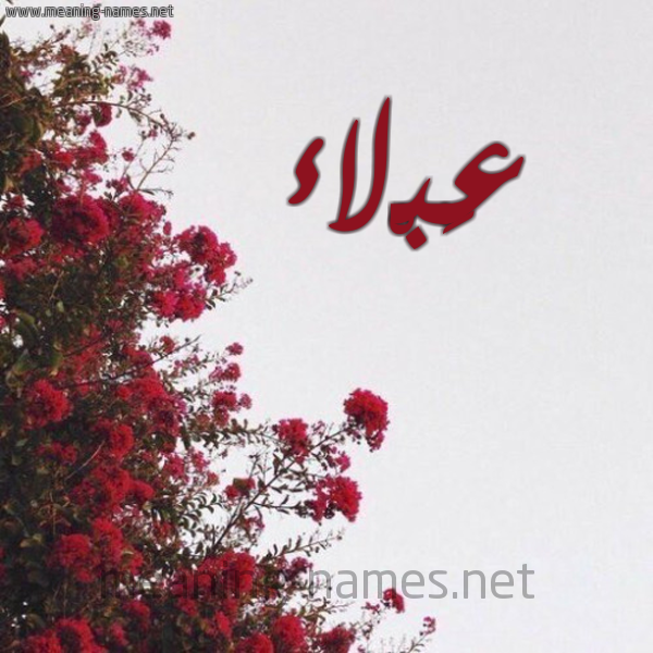 شكل 18 صوره الورد الأحمر للإسم بخط رقعة صورة اسم عَبْلاء AABLAA