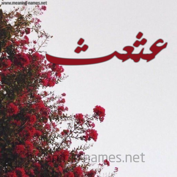 شكل 18 صوره الورد الأحمر للإسم بخط رقعة صورة اسم عَثْعَث AATHAATH
