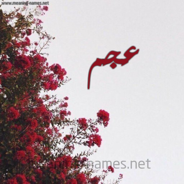 شكل 18 صوره الورد الأحمر للإسم بخط رقعة صورة اسم عَجَم Aagam