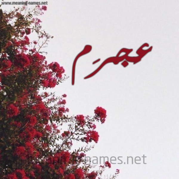 شكل 18 صوره الورد الأحمر للإسم بخط رقعة صورة اسم عَجْرَم AAGRAM