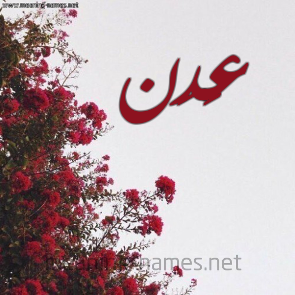شكل 18 صوره الورد الأحمر للإسم بخط رقعة صورة اسم عَدَن AADAN