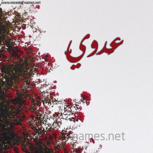 شكل 18 صوره الورد الأحمر للإسم بخط رقعة صورة اسم عَدَويّ AADAOI