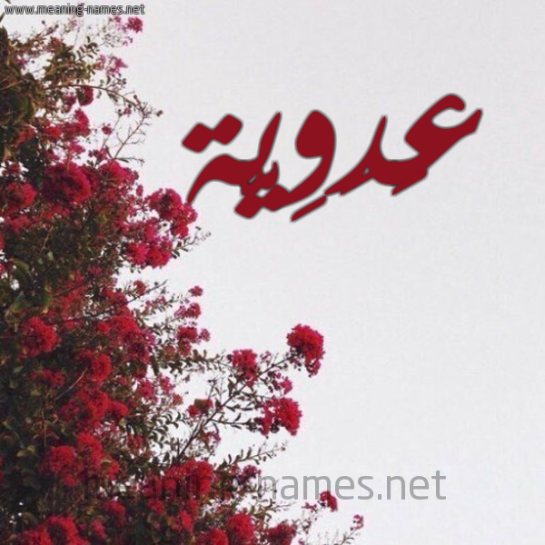 شكل 18 صوره الورد الأحمر للإسم بخط رقعة صورة اسم عَدَوِيَّة AADAOEIAH
