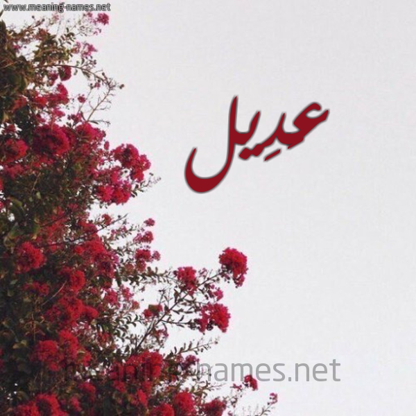 شكل 18 صوره الورد الأحمر للإسم بخط رقعة صورة اسم عَدِيل AADEIL