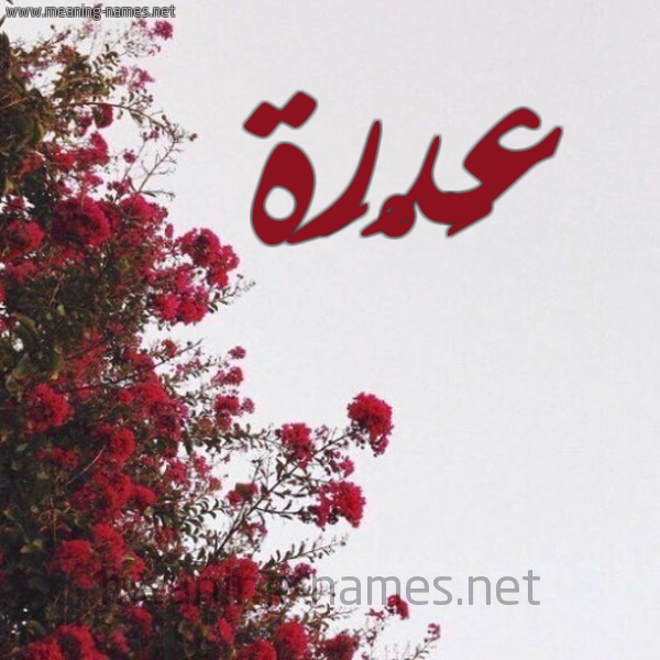 شكل 18 صوره الورد الأحمر للإسم بخط رقعة صورة اسم عَدْرَة AADRAH