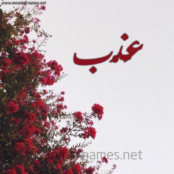 شكل 18 صوره الورد الأحمر للإسم بخط رقعة صورة اسم عَذْب AAZB