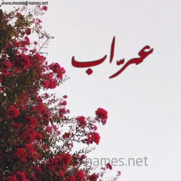 شكل 18 صوره الورد الأحمر للإسم بخط رقعة صورة اسم عَرَّاب AARAAB